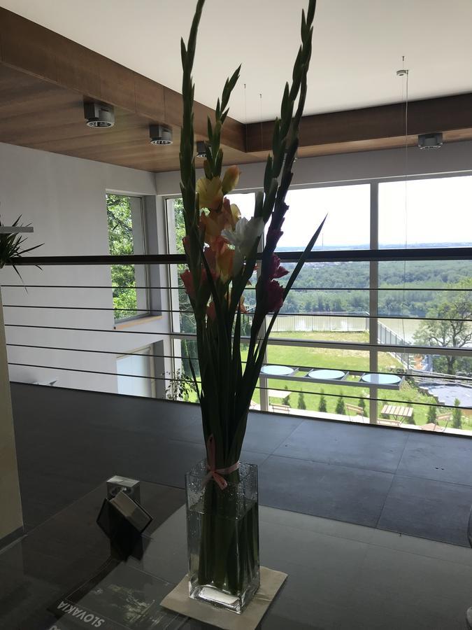 River View Residence ブラチスラヴァ エクステリア 写真